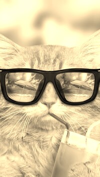 Szary + Sepia