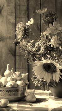 Szary + Sepia