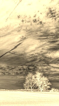 Sepia + Negatyw