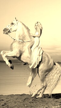 Szary + Sepia