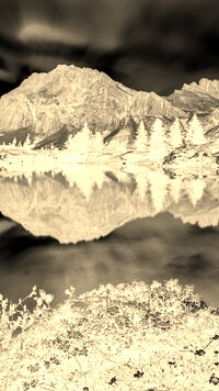 Sepia + Negatyw