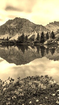 Sepia