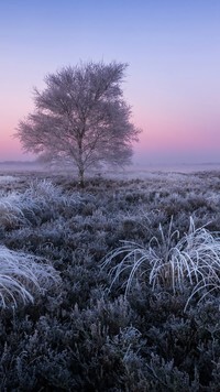 Oryginalny obrazek