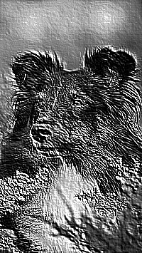 Skamielina