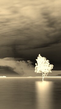 Sepia + Negatyw