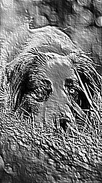 Skamielina
