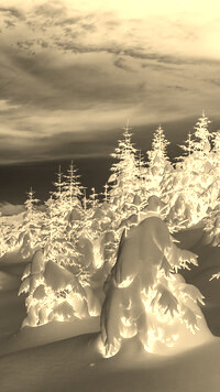 Sepia + Negatyw