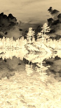 Sepia + Negatyw