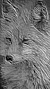 Skamielina