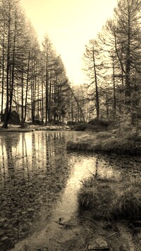 Szary + Sepia