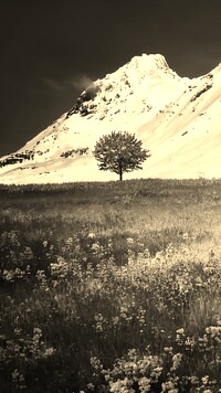 Szary + Sepia