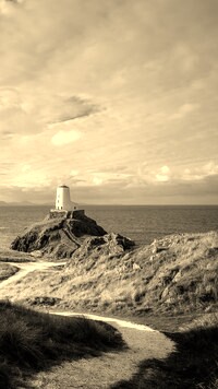 Szary + Sepia