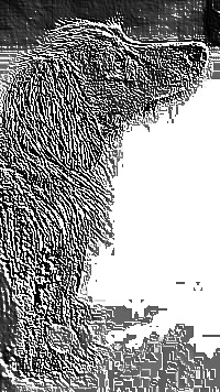 Skamielina