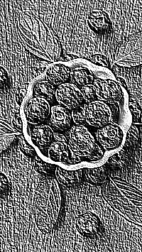 Skamielina
