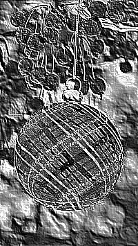 Skamielina