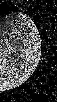 Skamielina