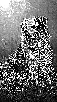 Skamielina