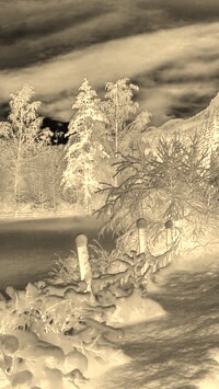 Sepia + Negatyw
