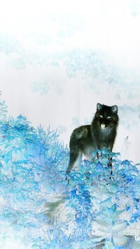 Negatyw