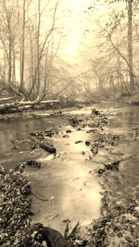 Szary + Sepia
