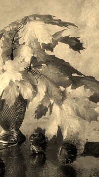 Szary + Sepia