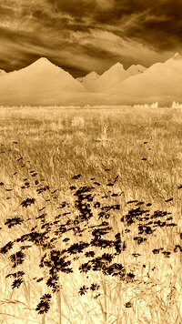 Sepia + Negatyw