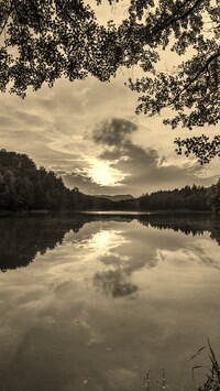 Szary + Sepia