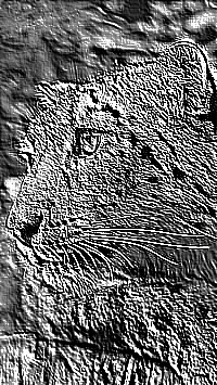 Skamielina