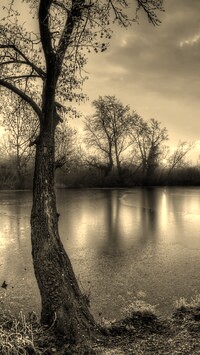 Szary + Sepia