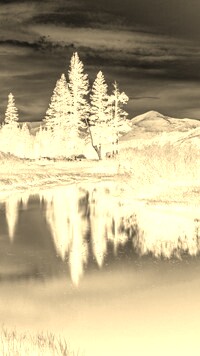 Sepia + Negatyw