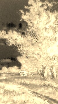 Sepia + Negatyw