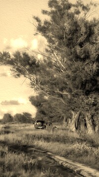 Szary + Sepia