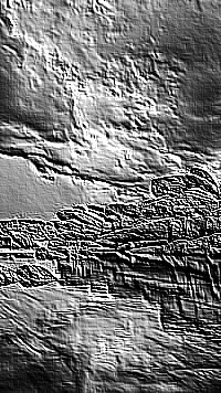 Skamielina