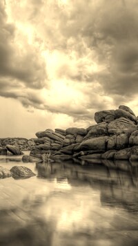 Szary + Sepia