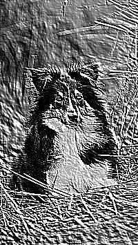 Skamielina