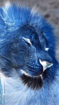 Negatyw