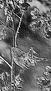 Skamielina
