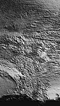 Skamielina