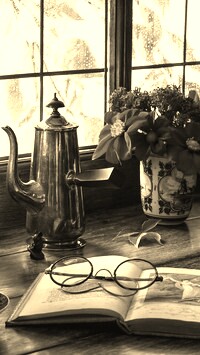 Szary + Sepia