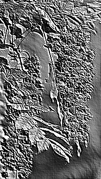 Skamielina