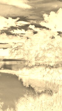 Sepia + Negatyw
