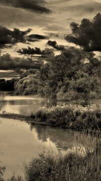 Sepia