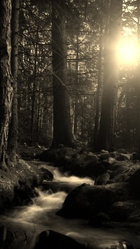 Szary + Sepia