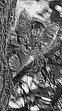 Skamielina