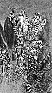 Skamielina