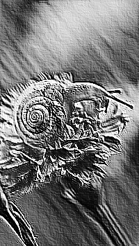 Skamielina