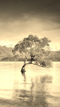 Sepia