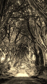 Szary + Sepia