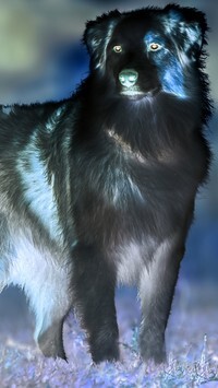 Negatyw