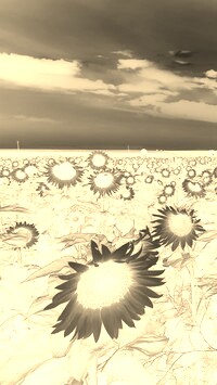 Sepia + Negatyw